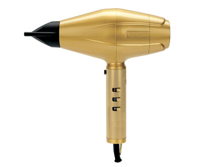 BABYLISS PRO 4rtists FXBDG1E profesionální fén na vlasy 2200 W zlatý