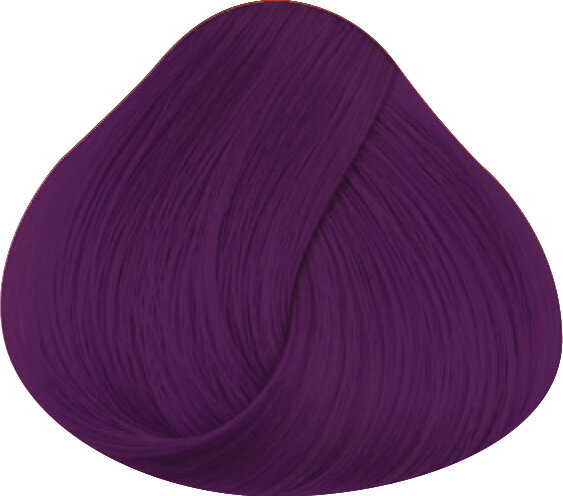 LA RICHÉ Directions Plum - 89 ml