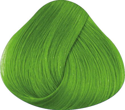 LA RICHÉ Directions Spring Green - 89 ml