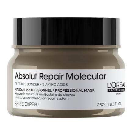 L'ORÉAL Expert 250 ml Absolut Repair Molecular Masque 